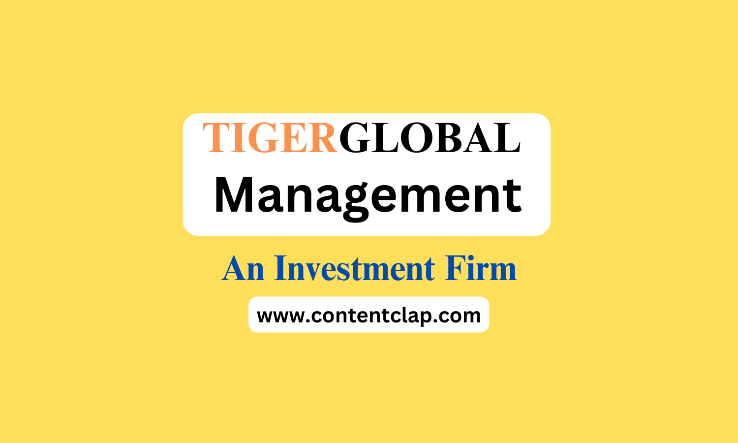 You are currently viewing Tiger Global Management, LLC: An Investment Firm