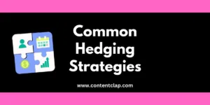 Hedging Strategies for Individual
